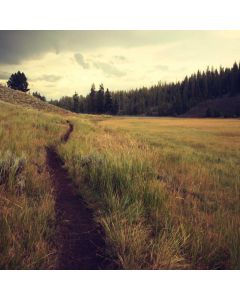 Smart 4K OLED TV 65" - Image 1