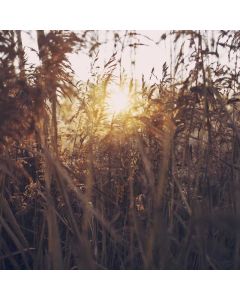 Smart Watch Series 8 - Image 1