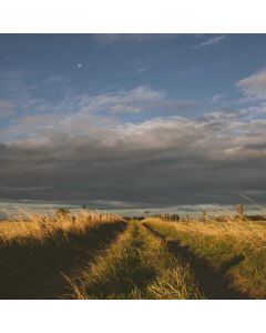 Gaming Console Elite - Image 1