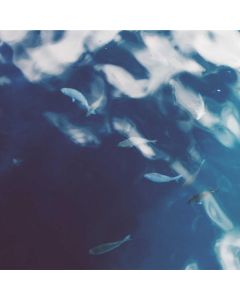 Smart Plug 4-Pack - Image 1