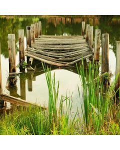 Robotic Vacuum and Mop - Image 1