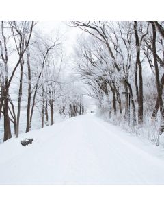 Leather Chelsea Boots - Image 1