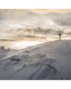 Down Puffer Vest - Image 1