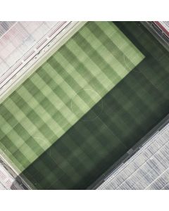 Classic Aviator Sunglasses - Image 1