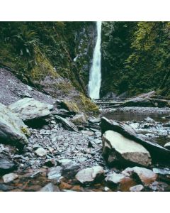 Canvas Sneakers Low-Top - Image 1