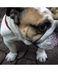 Yoga Leggings High-Rise - Image 1