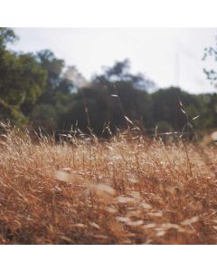 Bamboo Fiber Boxer Briefs 5-Pack - Image 1