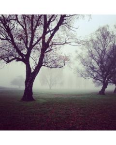 Printed Maxi Skirt - Image 1