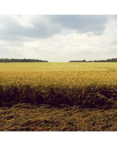 Packable Travel Blazer - Image 1