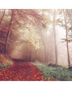 Stainless Steel Cookware Set 12pc - Image 1