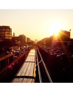 Egyptian Cotton Sheet Set King - Image 1