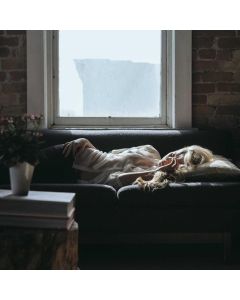 Cordless Stick Vacuum - Image 1