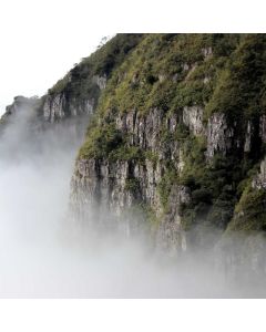 Instant Pot Multi-Cooker 8-Qt - Image 1