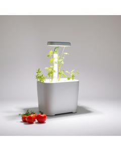 Indoor Herb Garden Kit - Hero