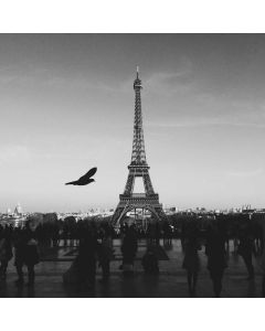 Modern Python Programming - Image 1