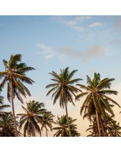 Digital Photography Masterclass - Image 1