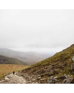 The Midnight Library Novel - Image 1