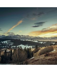 Financial Freedom Blueprint - Image 1