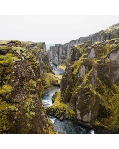 History of Art: From Cave to Contemporary - Image 1