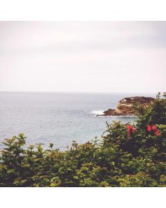 Board Game Strategy Guide - Image 1