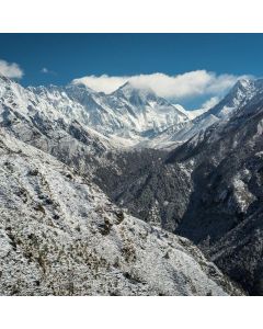 Adjustable Dumbbell Set 5-52lb - Image 1