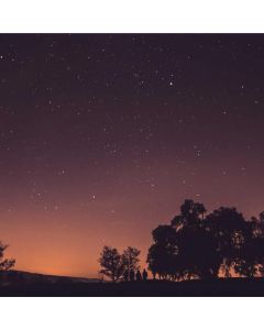 Compact Binoculars 10x42 - Image 1