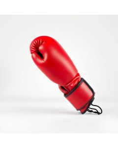 Boxing Gloves Training 16oz - Hero