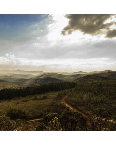 Boxing Gloves Training 16oz - Image 1