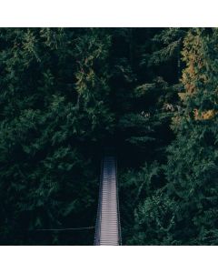 Ski Goggles Anti-Fog - Image 1