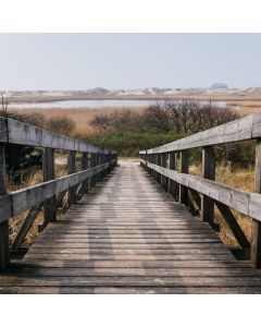 Jump Rope Speed Cable - Image 1