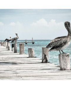 Knee Compression Sleeves Pair - Image 1