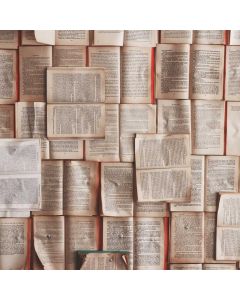 Badminton Racket Set 4-Player - Image 1