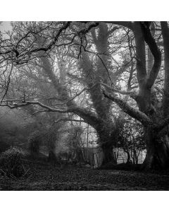 LED Face Mask Light Therapy - Image 1