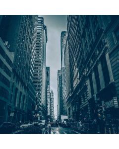 Organic Lip Balm 6-Pack - Image 1