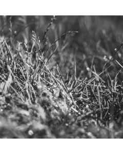 Matte Liquid Lipstick Set 6pc - Image 1