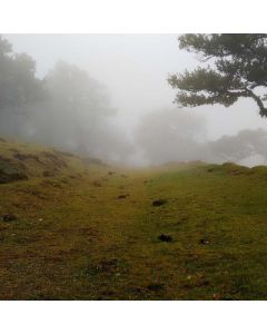 Charcoal Teeth Whitening Kit - Image 1