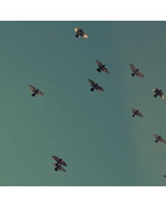 Strategy Board Game Deluxe - Image 1