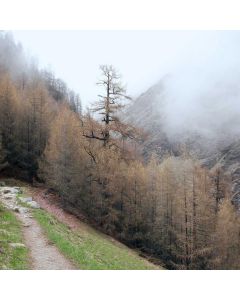 RC Monster Truck 4WD - Image 1