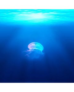 Kinetic Sand Playset 5lb - Image 1