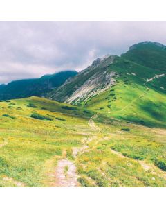 Balance Bike Toddler 12" - Image 1
