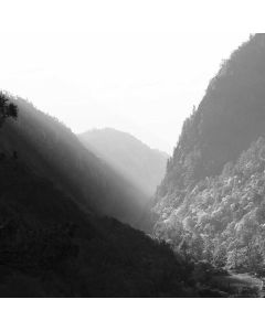 Smart Body Composition Scale - Image 1