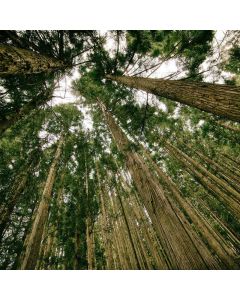 Magnesium Glycinate 400mg 120ct - Image 1