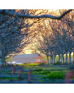 Yoga Block Set EVA Foam 2-Pack - Image 1