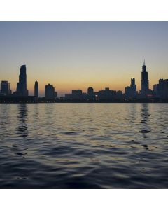 Zinc + Elderberry Gummies 60ct - Image 1