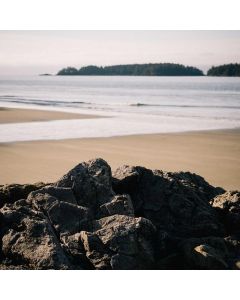 Green Superfood Powder 30 Servings - Image 1