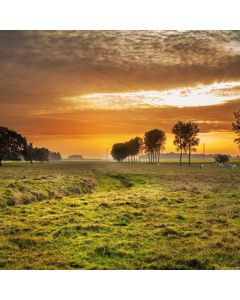 Resistance Bands Fabric Set 5pc - Image 1