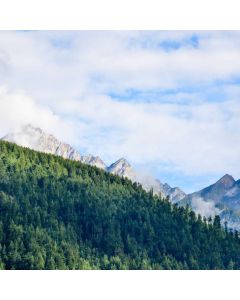 Car Seat Covers Full Set - Image 1