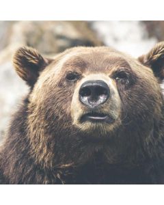 Patio Umbrella 10ft Cantilever - Image 1