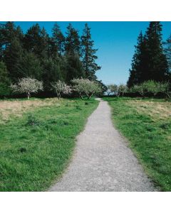 Pruning Shears Professional - Image 1