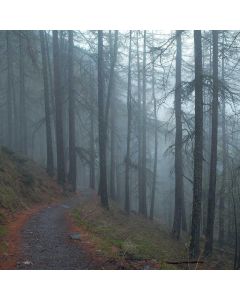 Outdoor Rug 6x9ft Waterproof - Image 1